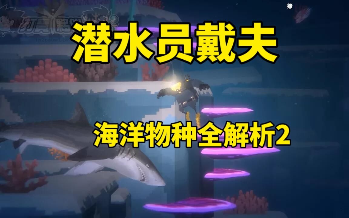 [图]潜水员戴夫海洋物种全解析2【御灵苑 御灵放映室】