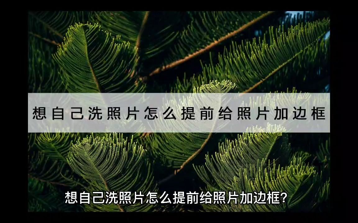 想自己洗照片怎么提前给照片加边框?试试这个工具哔哩哔哩bilibili