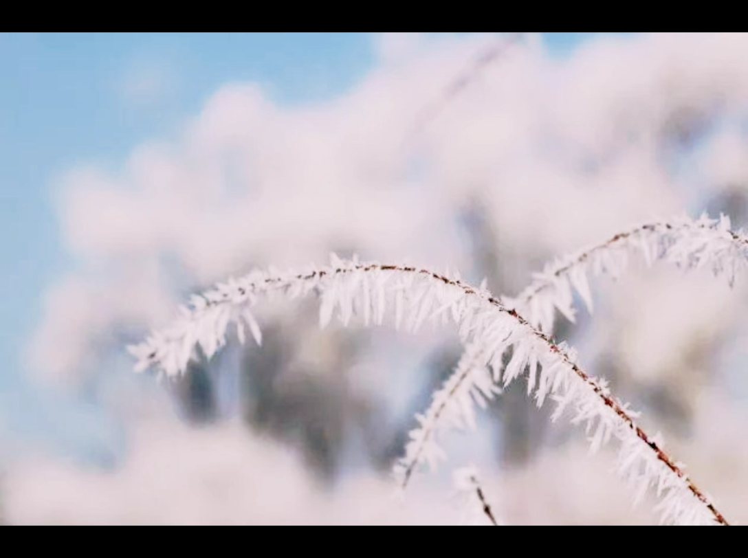 峰回路转,雾凇乍现,宛若仙境,美极了,谁说落雪无痕,此景却道留心,最美雾凇,养了眼,醉了心,许了愿,甚是难忘哔哩哔哩bilibili