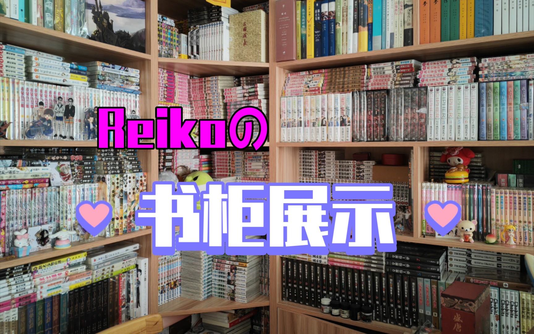 【Reikoの书柜】书柜3.0|阶段性购书成果展示|书柜告急哔哩哔哩bilibili