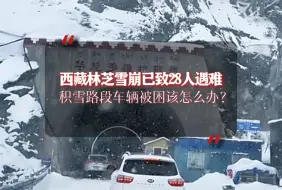 Video herunterladen: 西藏林芝雪崩已致28人遇难，积雪路段车辆被困该怎么办？