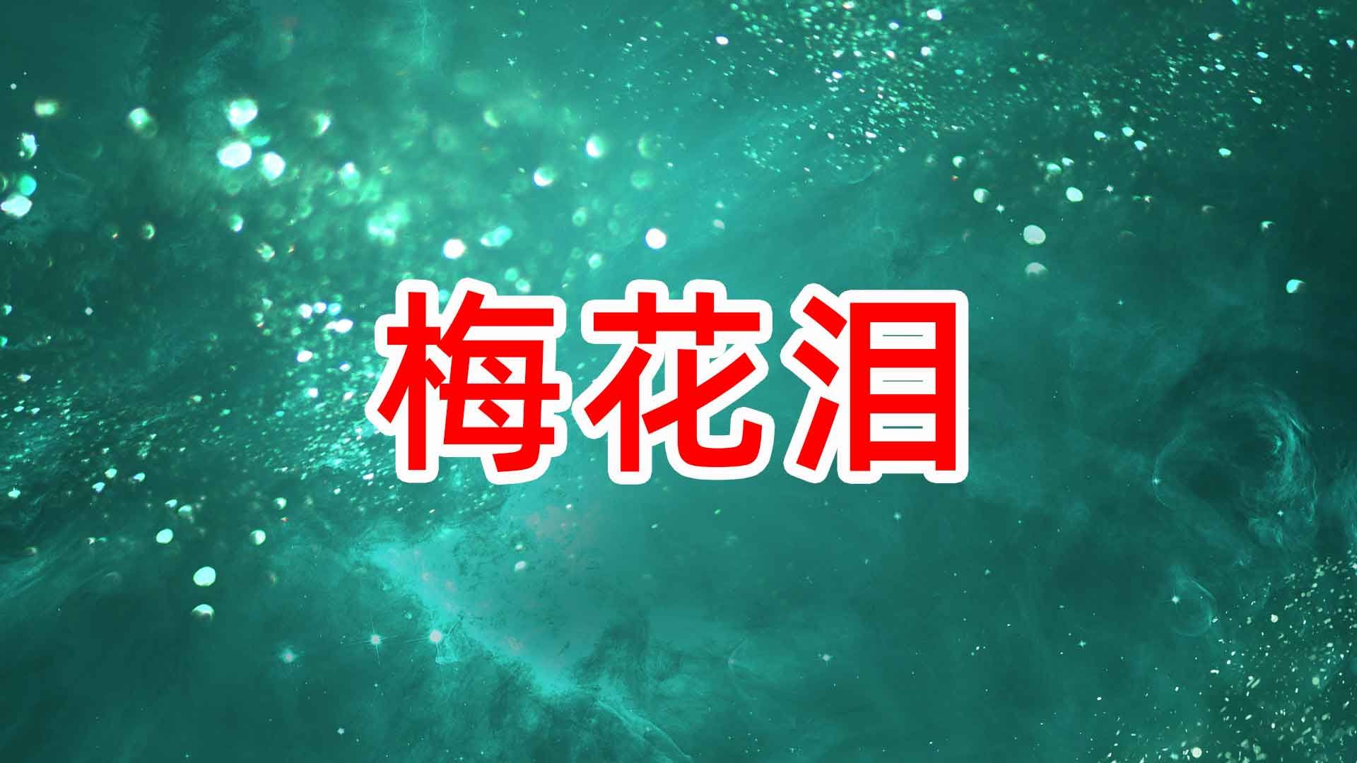《梅花泪》舞蹈