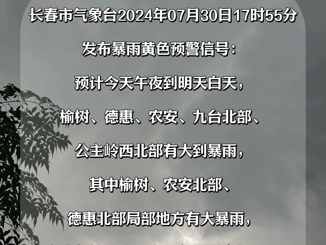 7月30日长春市气象局发布暴雨黄色预警哔哩哔哩bilibili