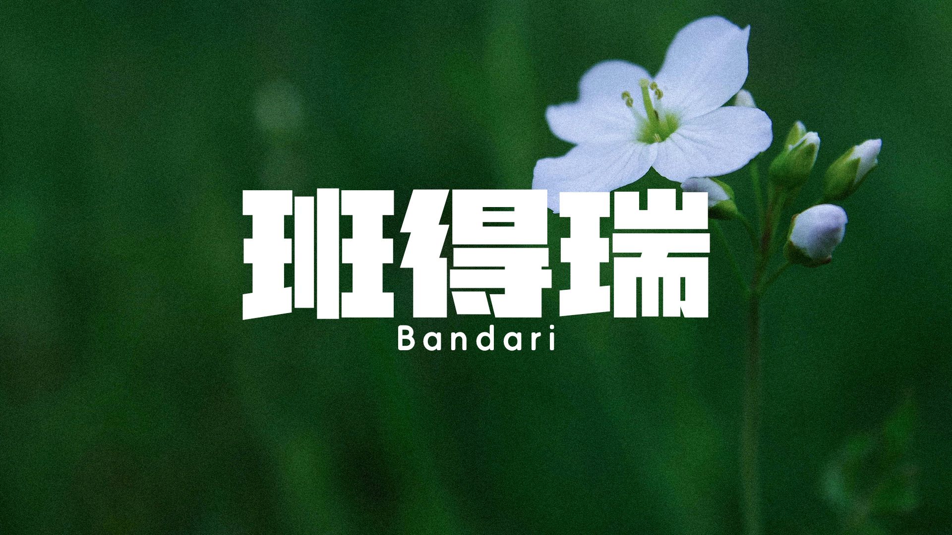 [图]班得瑞Bandari精选50首醉好听的纯音乐NO2经典中的经典！你听过几首？哪一首是你的下课铃声？