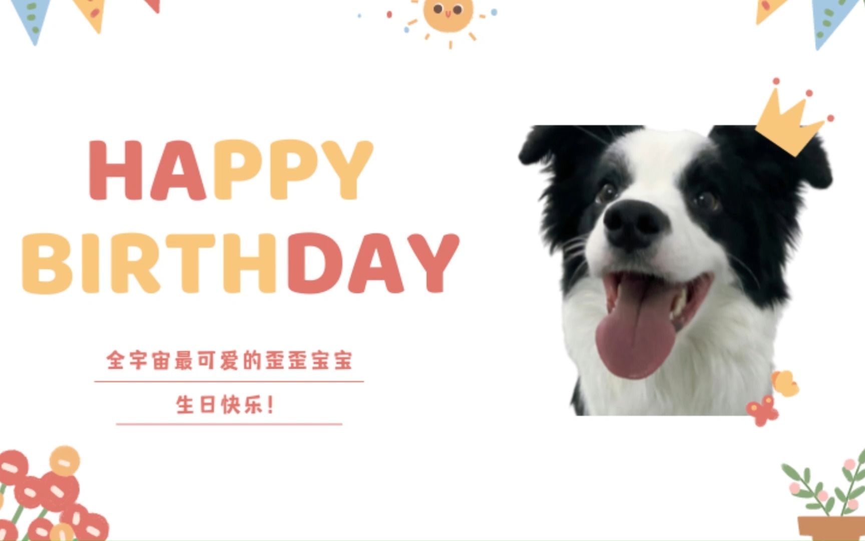 【歪宝】阳⚡️光⚡️开⚡️朗⚡️大歪宝 歪宝生日快乐!哔哩哔哩bilibili