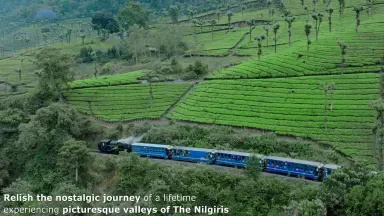 ooty-哔哩哔哩_Bilibili ooty-哔哩哔哩_Bilibili