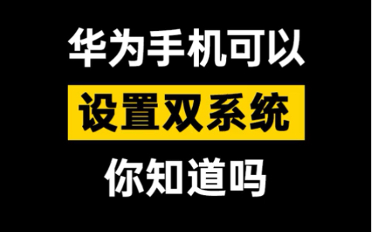 华为手机还可以设置双系统?你设置了吗!哔哩哔哩bilibili