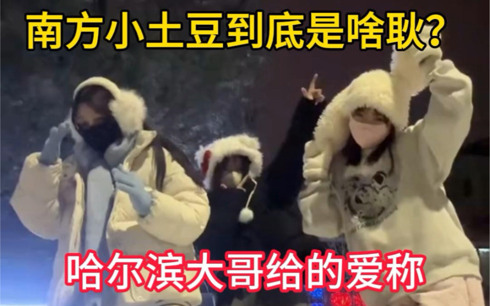 南方小土豆 #见识到了南北方的差异 #抖音看世界