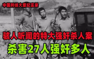 Download Video: 中国刑侦大案纪实录，光天化日下的灭口案