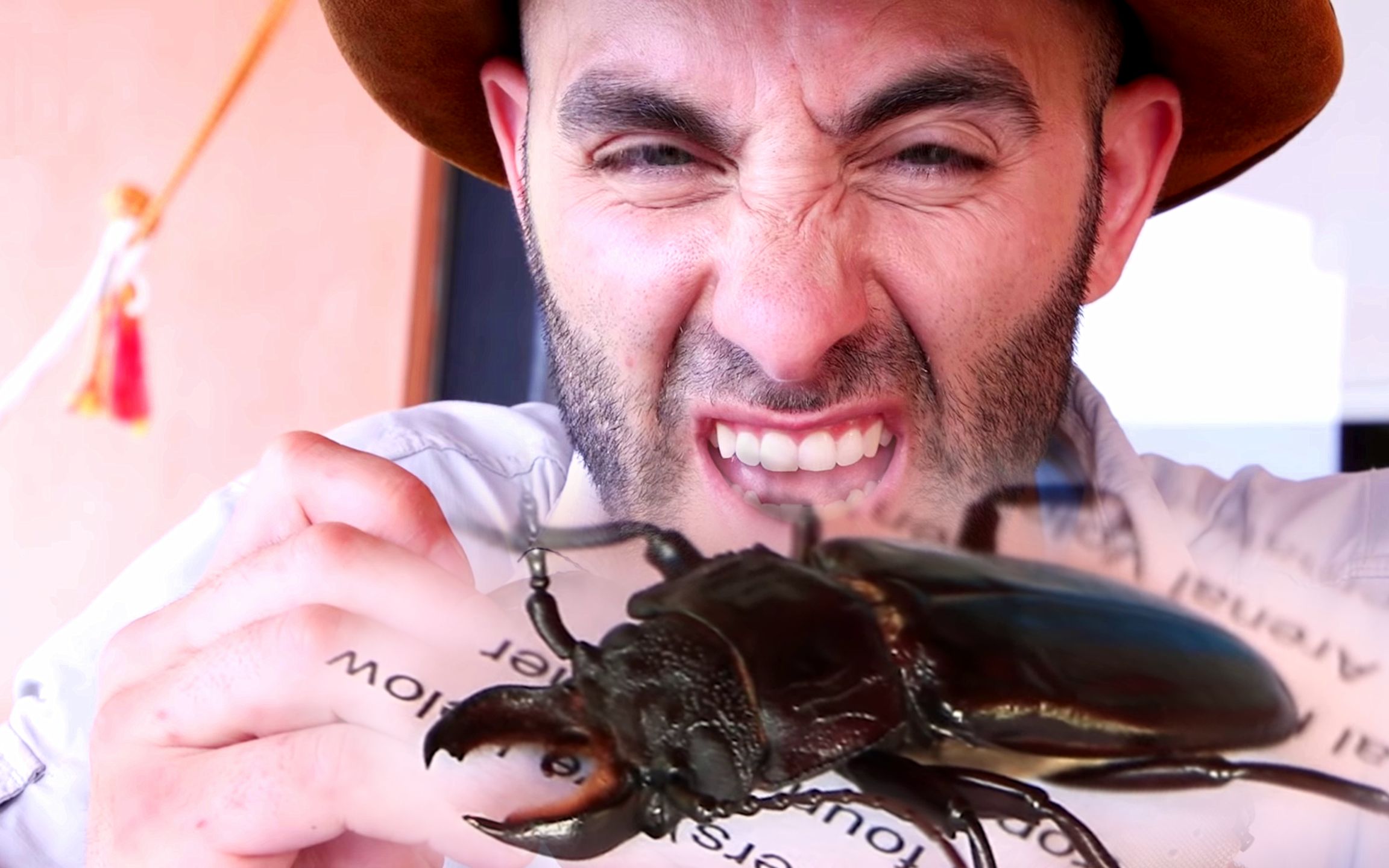 作死狼叔:挑战巨型甲虫,带上100元来吃席啦!