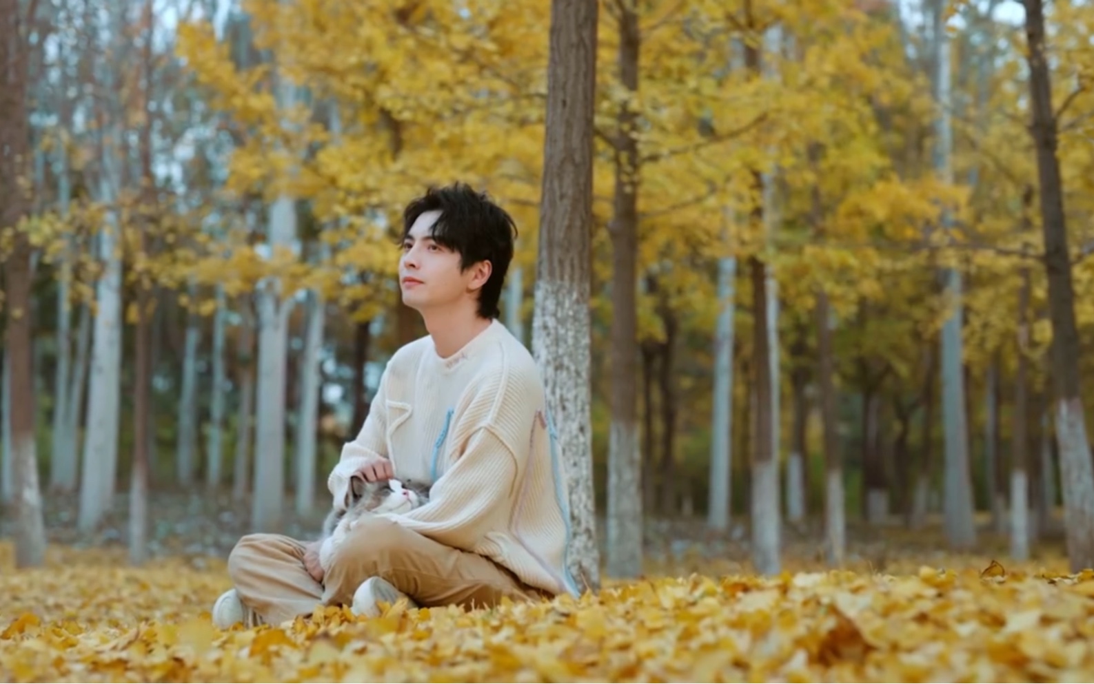 蒲熠星被小猫咪围起来啦