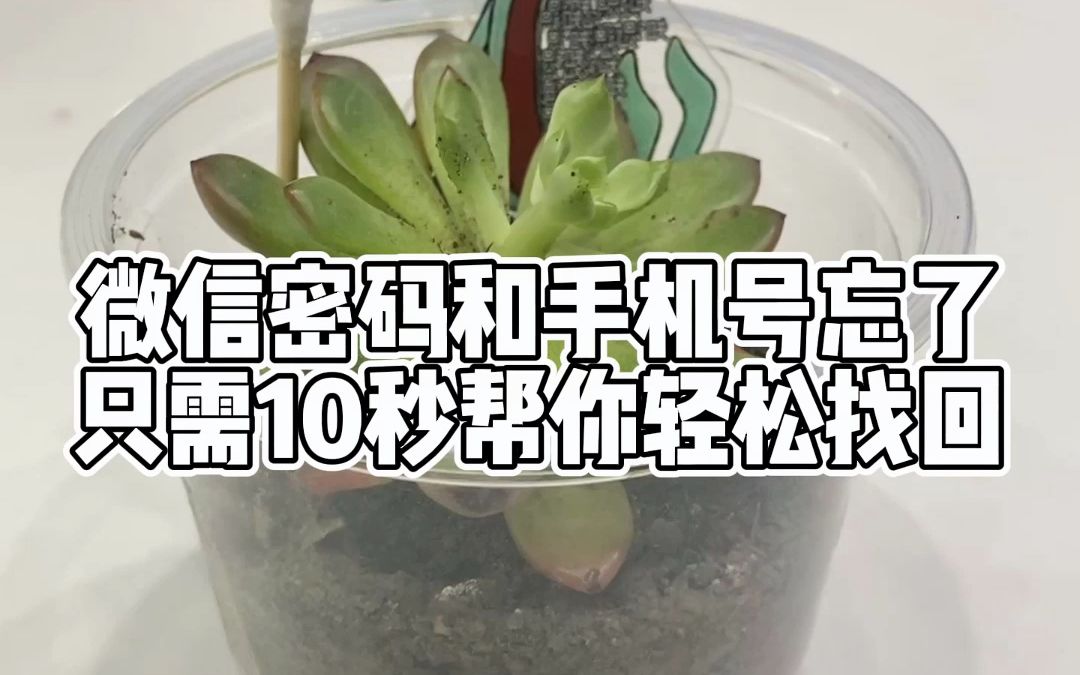 微信登陆不上,绑定手机号和密码都忘了,这样做,直接登录微信!哔哩哔哩bilibili