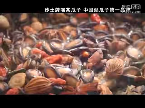 沙土牌瓜子2010年广告