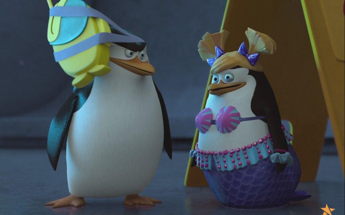 【马达加斯加的企鹅】是什么让你觉得,你面前的这几只企鹅是弱势动物?