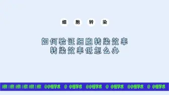 下载视频: 细胞转染8-如何验证细胞转染效率，转染效率低怎么办？