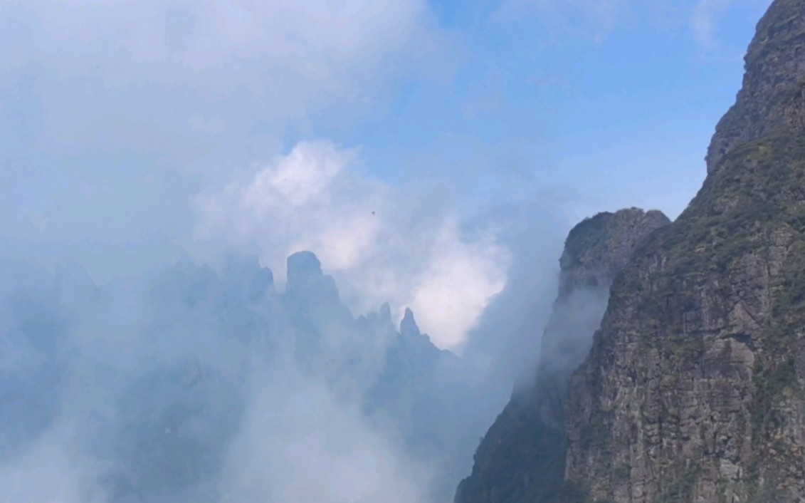 五个人登爬广西五指山,偶遇绝美高山云海.哔哩哔哩bilibili