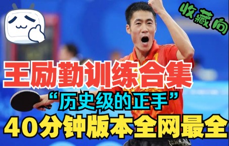 【乒乓球】王励勤训练合集 “历史级别的正手,有机时代的王者”40分钟版哔哩哔哩bilibili