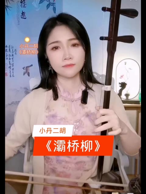 二胡独奏灞桥柳于红梅图片