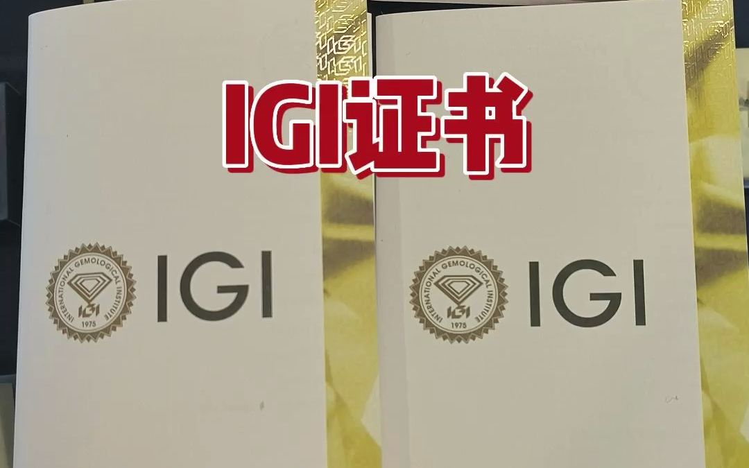 IGI大小证书,上海IGI和印度IGI证书区别?哔哩哔哩bilibili