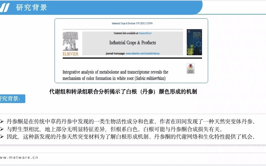 【客户文章】 代谢组+转录组揭示白根(丹参)颜色形成的机制——迈维代谢哔哩哔哩bilibili
