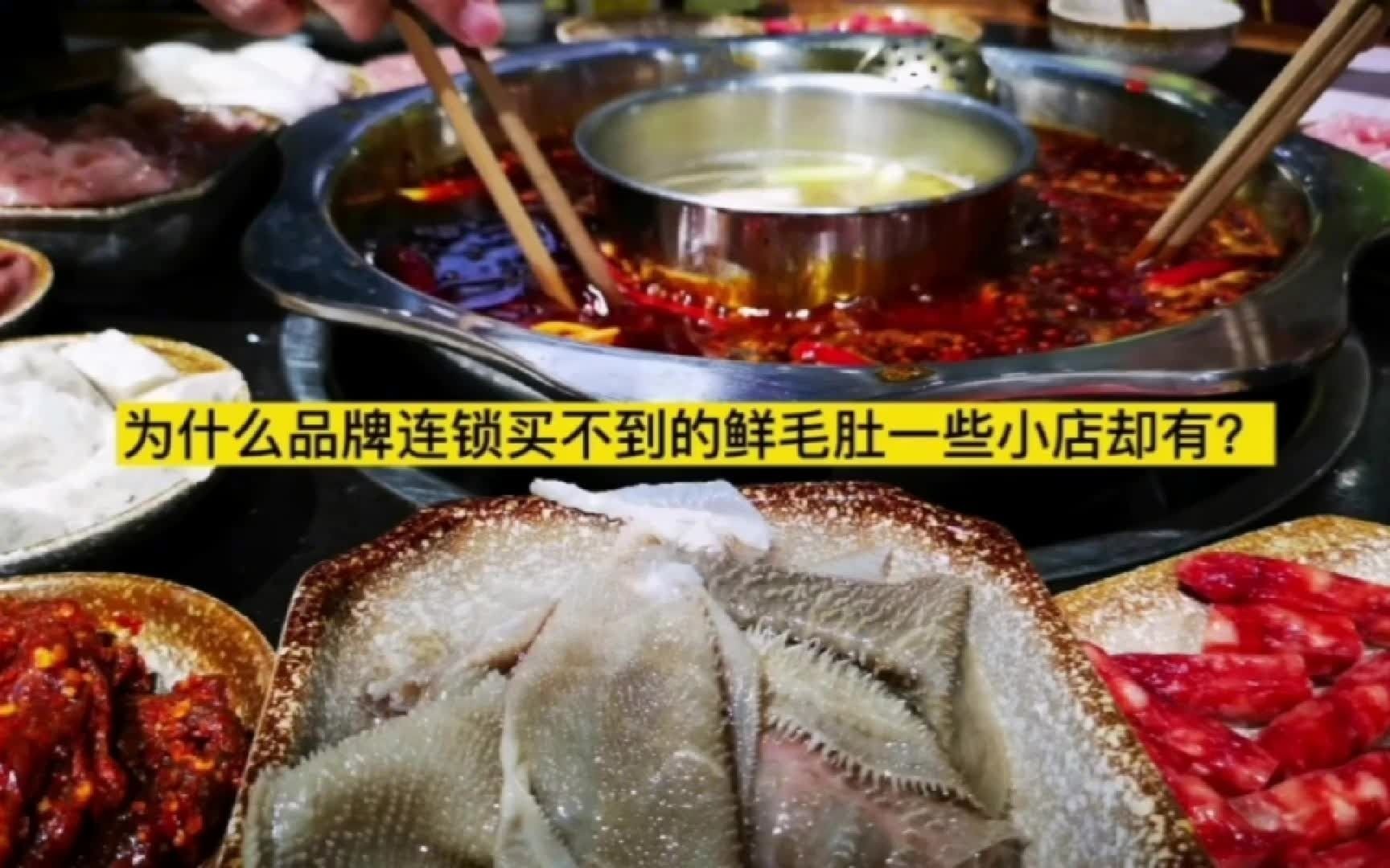 为什么连锁餐饮品牌店都喜欢袋装毛肚而不起眼的小店都买新鲜毛肚哔哩哔哩bilibili