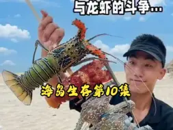 Download Video: 海岛生存第10集，小伙潜水寻找食物，发现罕见猫龙！