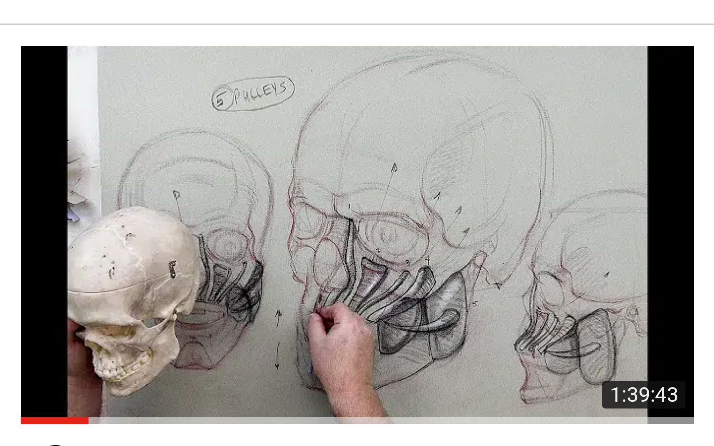 搬运艺用解剖教程素描肖像嘴部头部颈部教程共6p