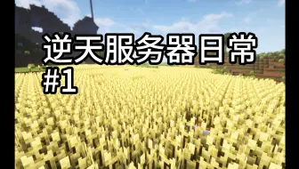 生活处处是节目效果