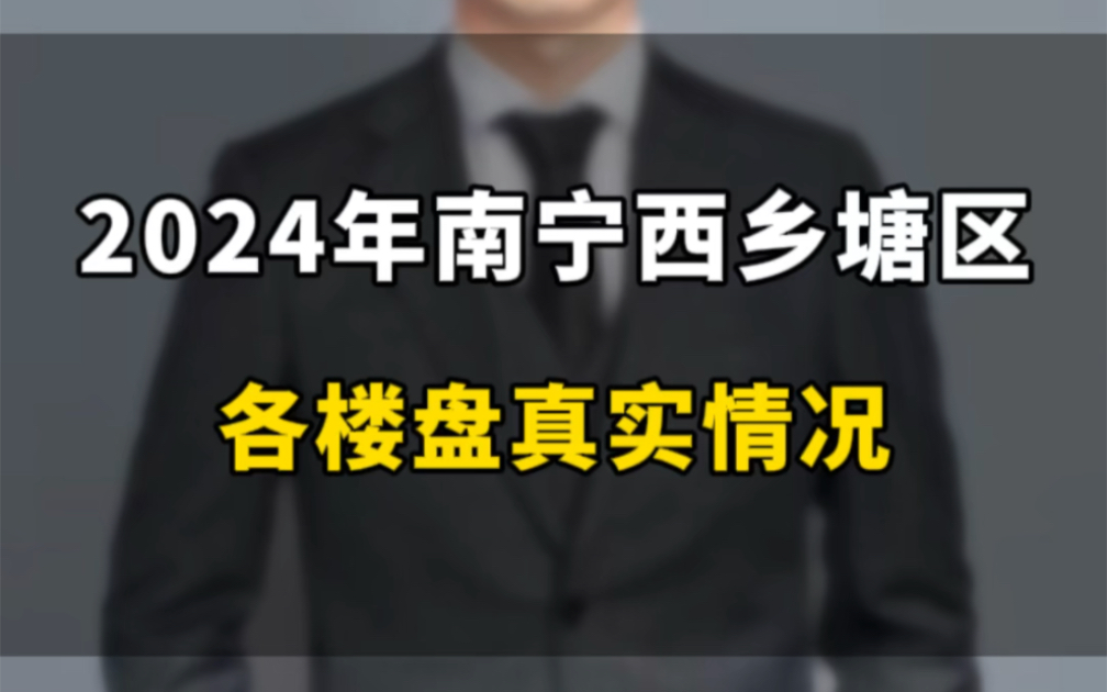 2024年南宁西乡塘区各楼盘真实情况哔哩哔哩bilibili