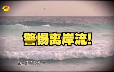 警惕离岸流!90%的海边溺水由它造成!哔哩哔哩bilibili