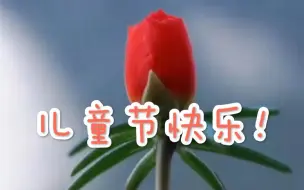 Download Video: 延时摄影 | 静待花开，儿童节快乐！