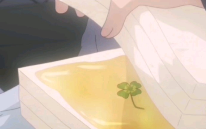 一切的祝福都给你——蜂蜜与四叶草
