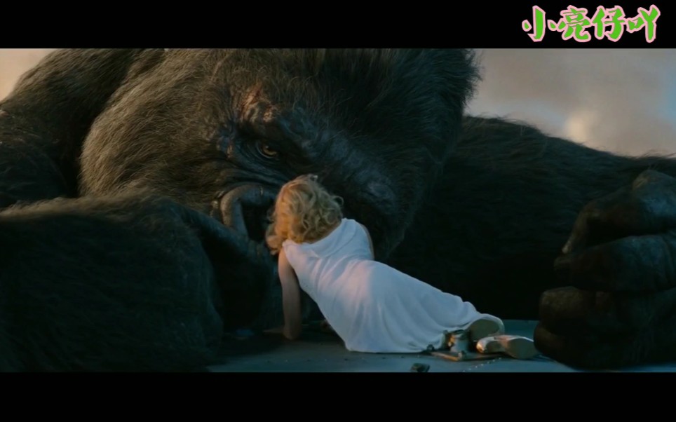 金刚2005混剪催人泪下的美女与野兽