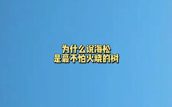 为什么说海松是蕞不怕火烧的树?#冷知识哔哩哔哩bilibili