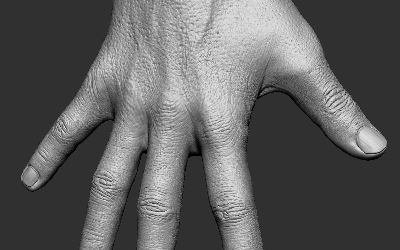 zbrush男士手部雕刻参考资料,zbrush雕刻资料