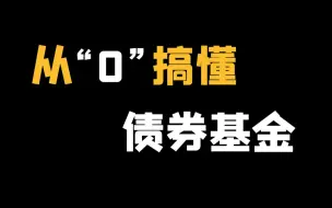 Descargar video: 【深度】债券基金，A股的避风港！投资必看