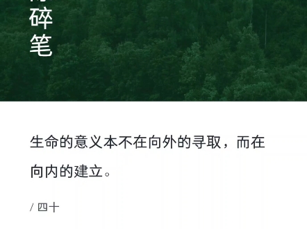 生命的意义本不在向外的寻取,而在向内的建立.哔哩哔哩bilibili