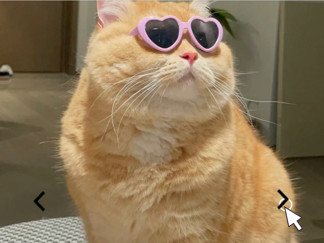 网易天成专业再升级#网易天成#天成探索队 墨镜小猫