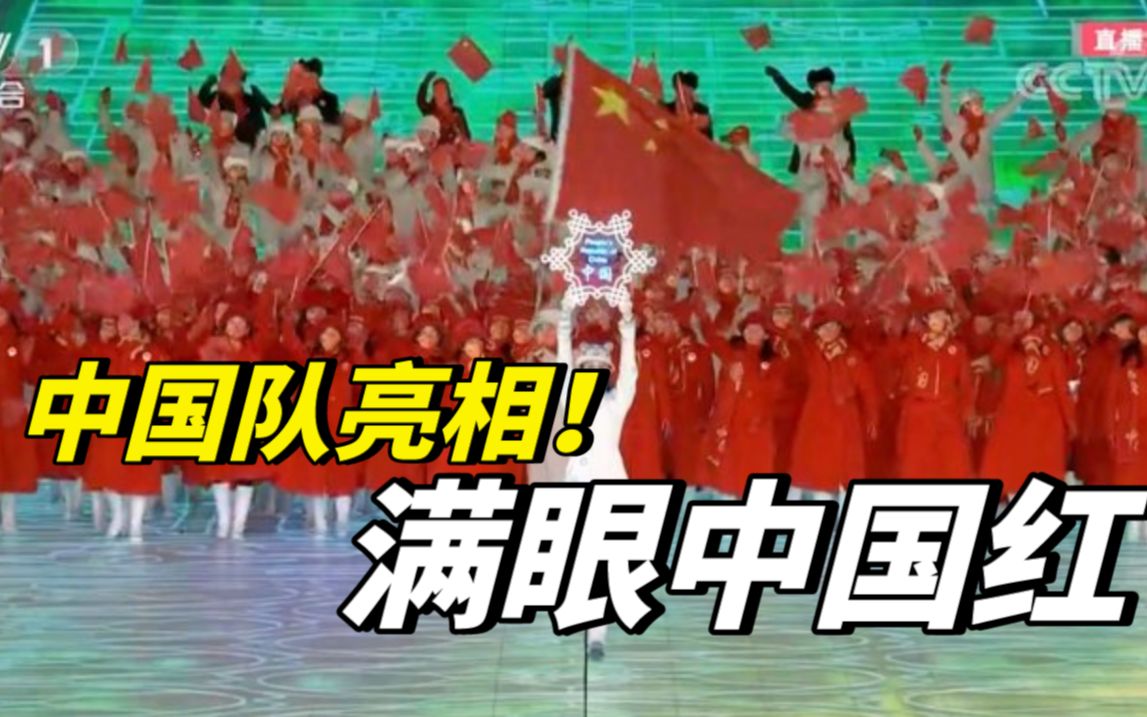 中国代表团在《歌唱祖国》中入场,很多观众起立欢呼歌唱!哔哩哔哩bilibili