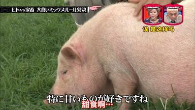 よゐこの無人島0円生活① 20171229_哔哩哔哩_bilibili
