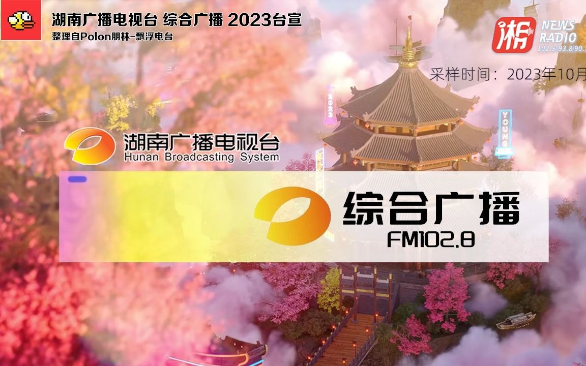 【放送文化ⷒadio】湖南电台综合广播 2023台宣哔哩哔哩bilibili