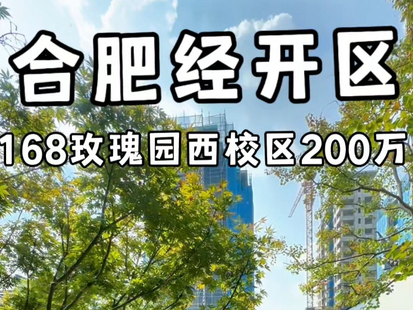 合肥新房 经开区 168本部学区房 精装修 总价200多万 凭购房合同即可上学#合肥 #新房 #住宅 #大平层 #精装修 #学区房哔哩哔哩bilibili