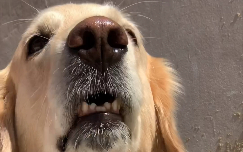 豁牙子 拍个照这么费劲 家还要给我扒迁了