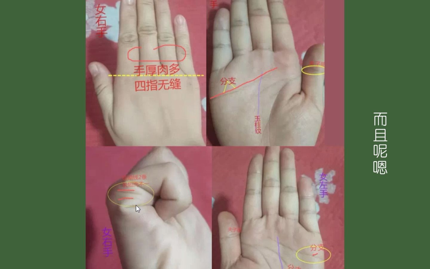 女人婚后旺财旺夫的手相特征!