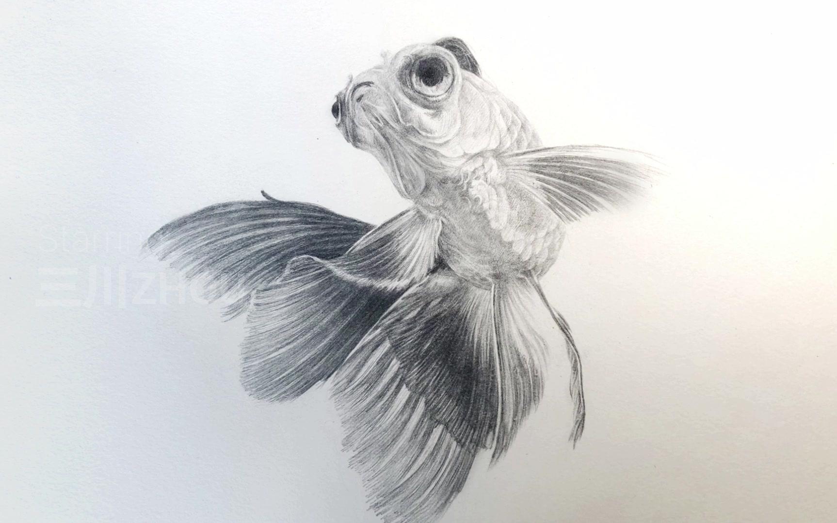 三川手绘-斗鱼_哔哩哔哩_bilibili