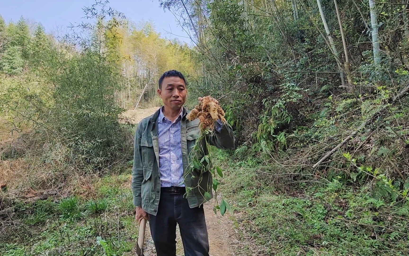 山里到处都是山野菜,大叔挖几棵山海螺炒小鱼干,四碗米饭不够吃哔哩哔哩bilibili