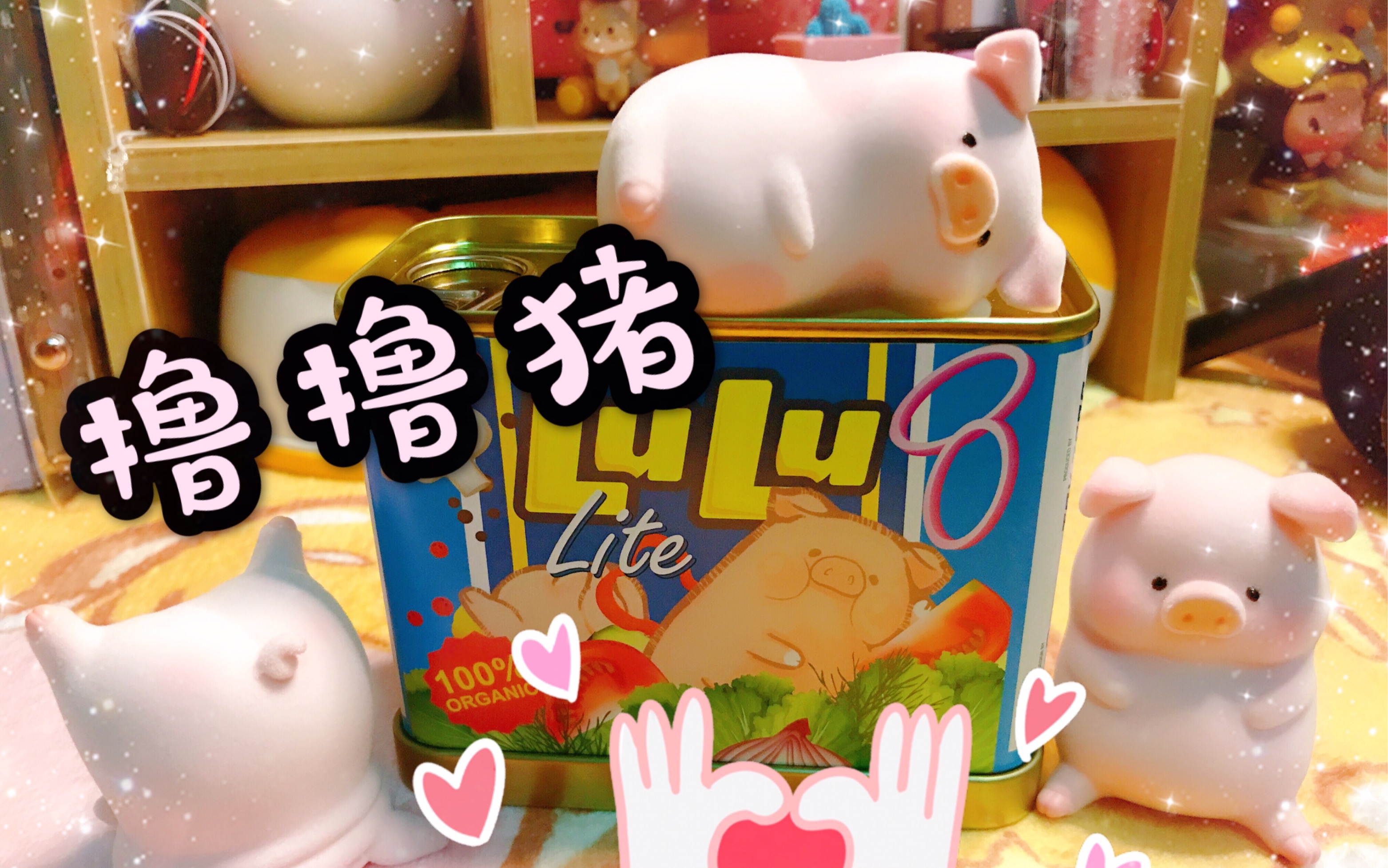 一起来撸猪,lulu猪罐头盲盒开箱!久违的隐藏差点错过!