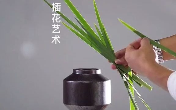 插花艺术哔哩哔哩bilibili