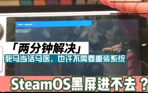 Download Video: Steamdeck死机重启后steam os黑屏进不去的解决办法