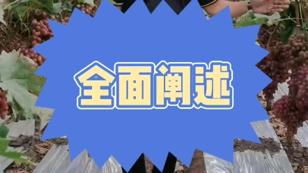 葡萄大棚安装自动打药机哔哩哔哩bilibili